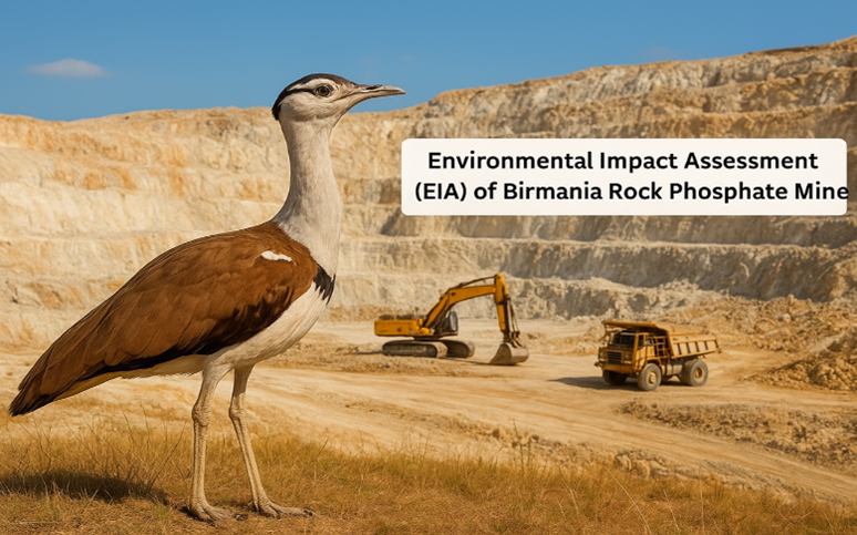 Syllabus:Ecology Why in News? • EAC approved EIA for Birmania Rock Phosphate Mine in Jaisalmer, Rajasthan. • Mine lies in potential habitat of the Great Indian Bustard (GIB). • Great Indian Bustard (GIB) • Range: Rajasthan (Thar Desert), Gujarat, Maharashtra, Karnataka, Andhra Pradesh. Status: • IUCN: Critically Endangered • WPA 1972: Schedule I • CITES: Appendix I • Ecological Role: Keystone species, indicator of grassland health Threats: • Habitat loss (mining, wind turbines, infra projects) • Power line collisions (~18 deaths/yr – WII, 2020) • Pesticide exposure, hunting, tourism disturbance • Very low reproductive rate • Conservation: National Bustard Recovery Plan (till 2033), WII-led, CAMPA-funded; ~140 GIB left (2024). Phosphate Rock • What: Sedimentary rock rich in phosphorus, vital for fertilizers. • Global Reserves: Morocco (largest), Africa, N. America, Kazakhstan, Middle East. • India: Rajasthan & Madhya Pradesh → but 90% import dependent. 